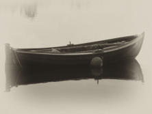 Ekan sepia